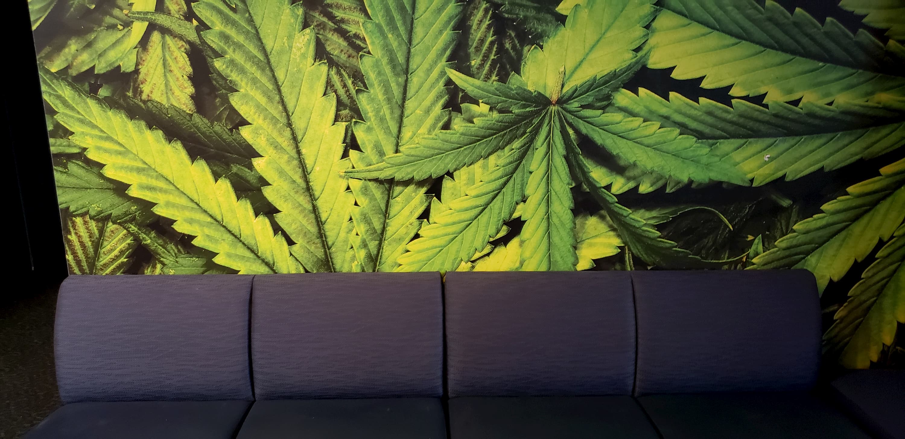 Lounge couch
